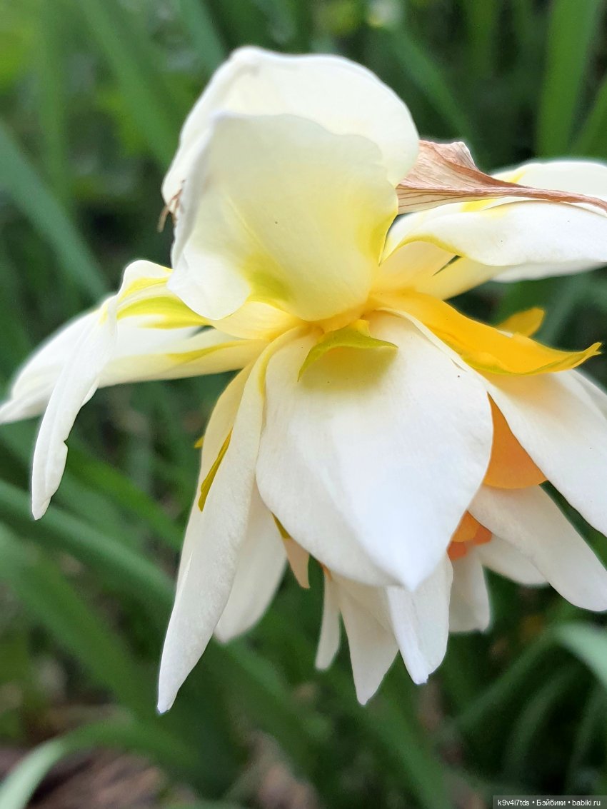 В Тверь пришла Весна — Туризм и путешествия: фотоотчеты из поездок