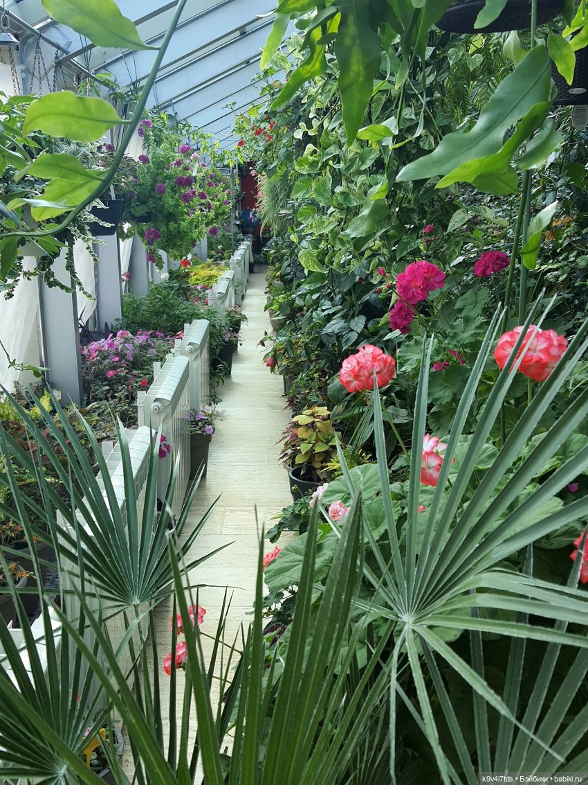 В Тверь пришла Весна — Туризм и путешествия: фотоотчеты из поездок