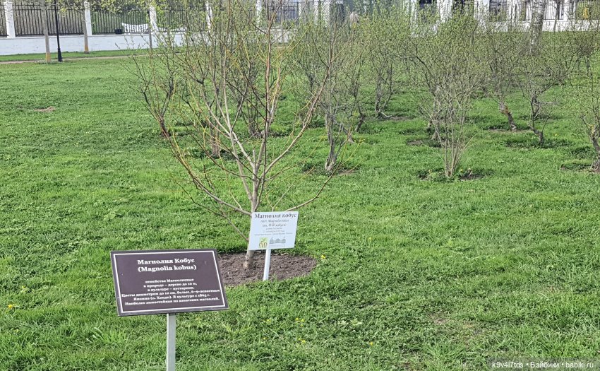 В Тверь пришла Весна — Туризм и путешествия: фотоотчеты из поездок