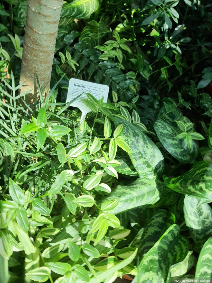 В Тверь пришла Весна — Туризм и путешествия: фотоотчеты из поездок