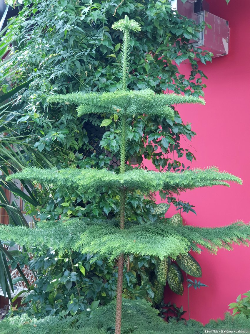 В Тверь пришла Весна — Туризм и путешествия: фотоотчеты из поездок