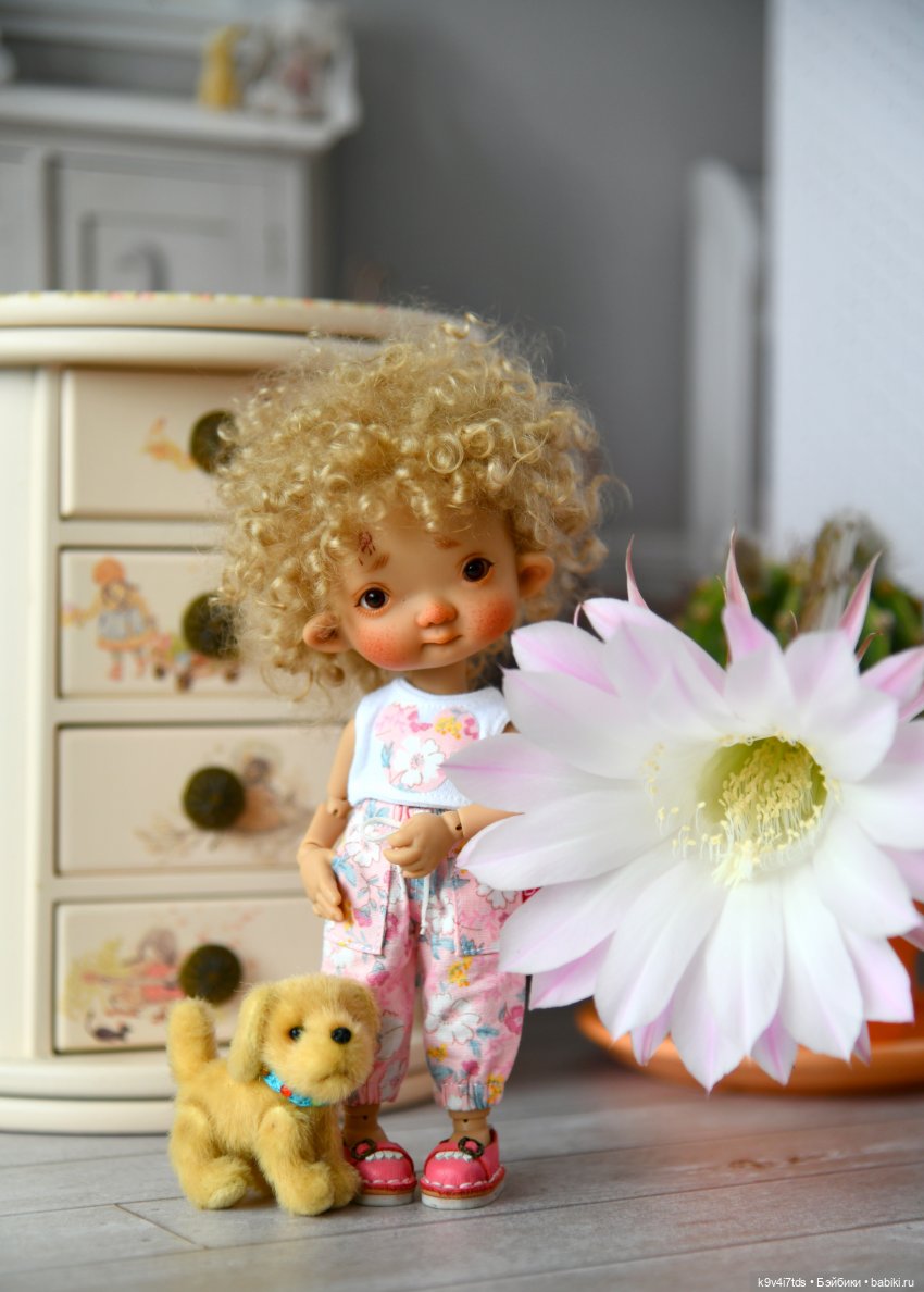 Эхинопсис - Праздничный Цветок (фото 10)