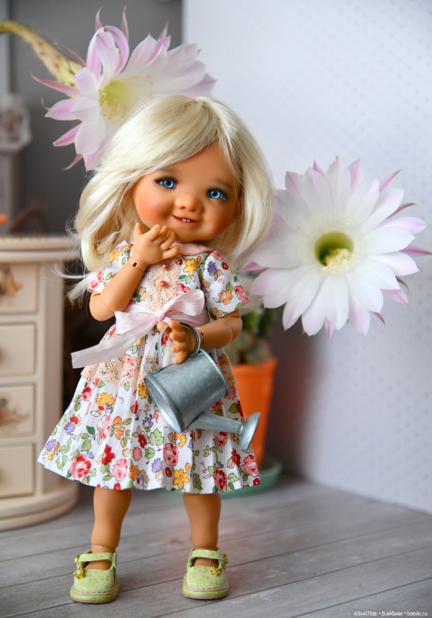 Эхинопсис - Праздничный Цветок