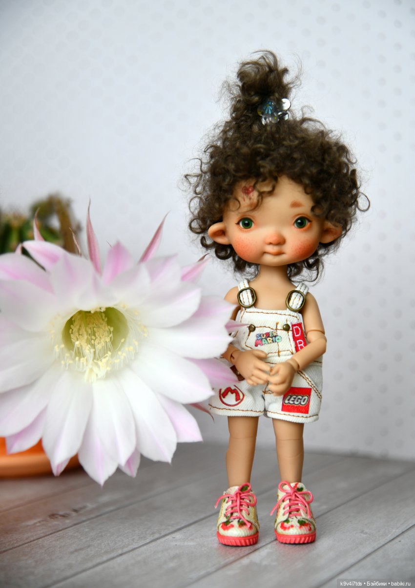 Эхинопсис - Праздничный Цветок