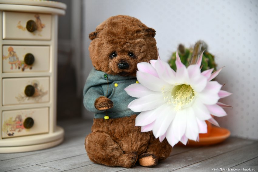 Эхинопсис - Праздничный Цветок (фото 4)