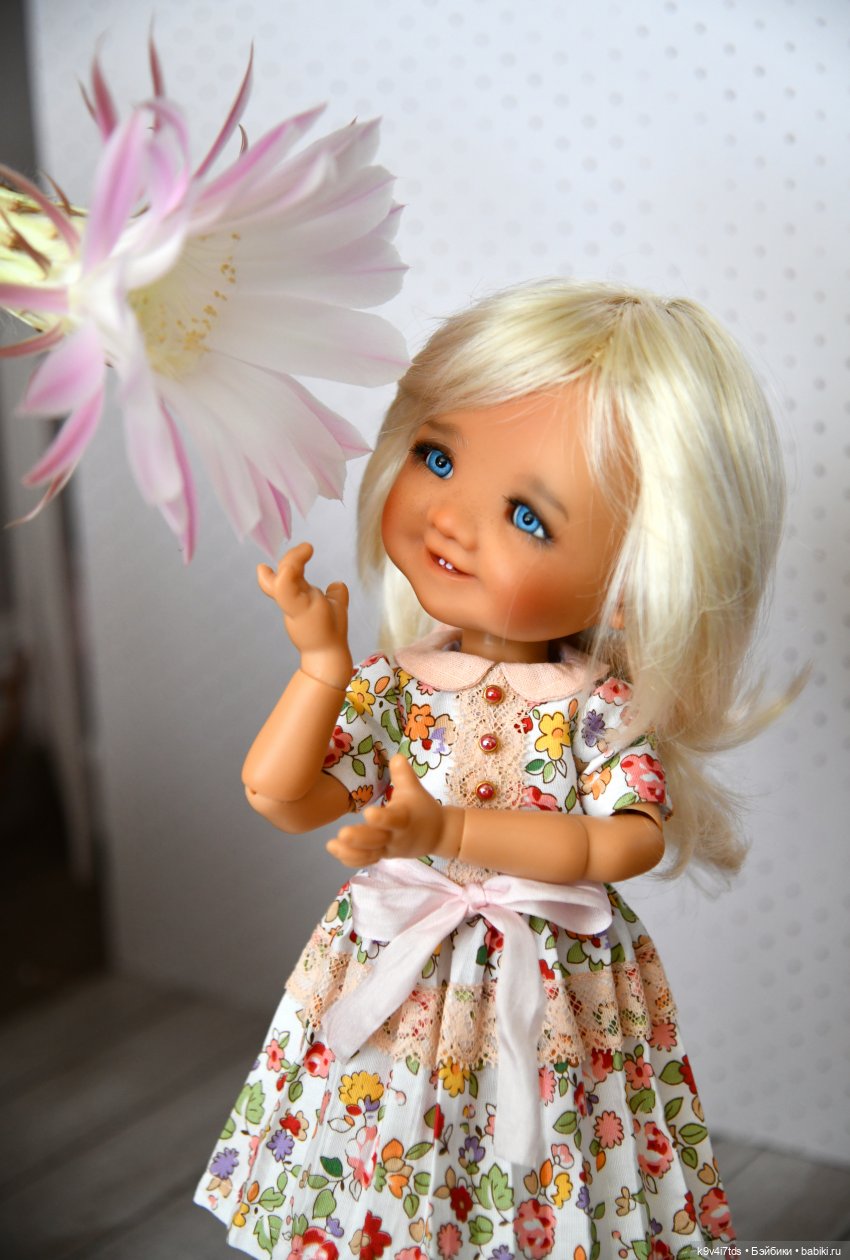 Эхинопсис - Праздничный Цветок