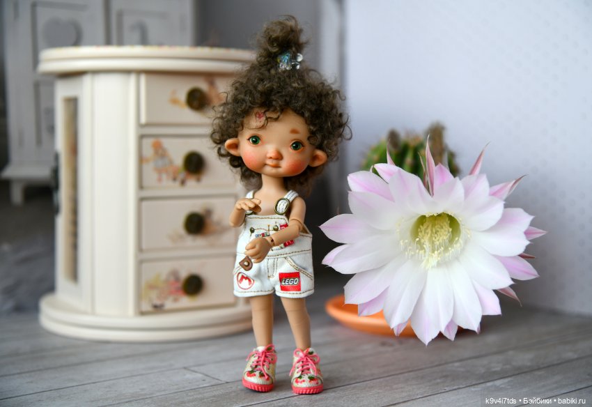 Эхинопсис - Праздничный Цветок (фото 6)