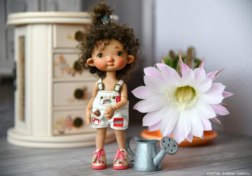 Эхинопсис - Праздничный Цветок (фото 7)