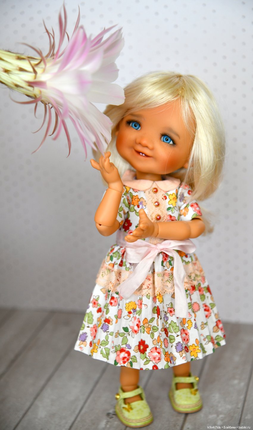 Эхинопсис - Праздничный Цветок