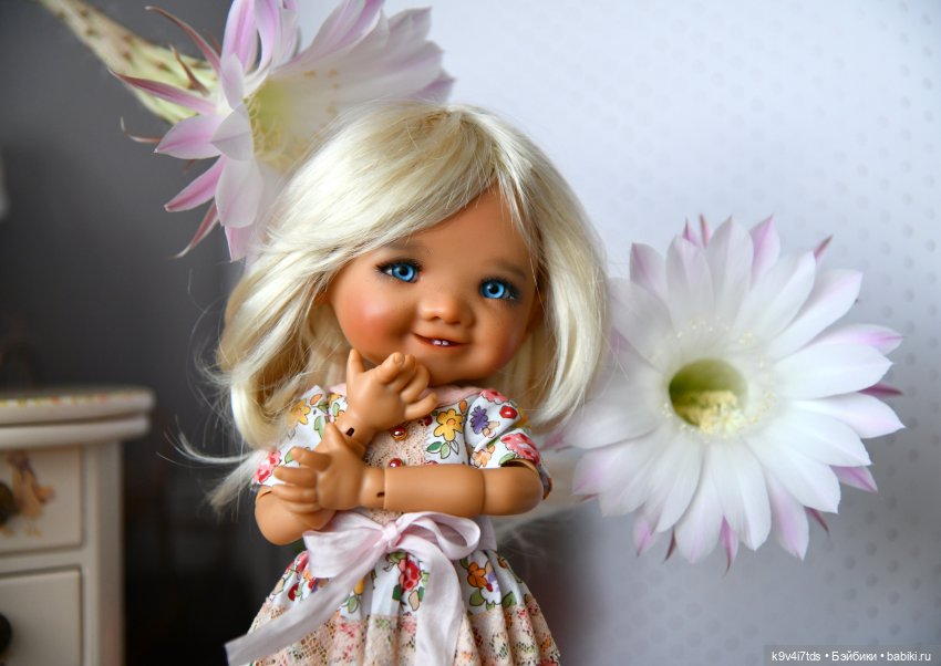 Эхинопсис - Праздничный Цветок