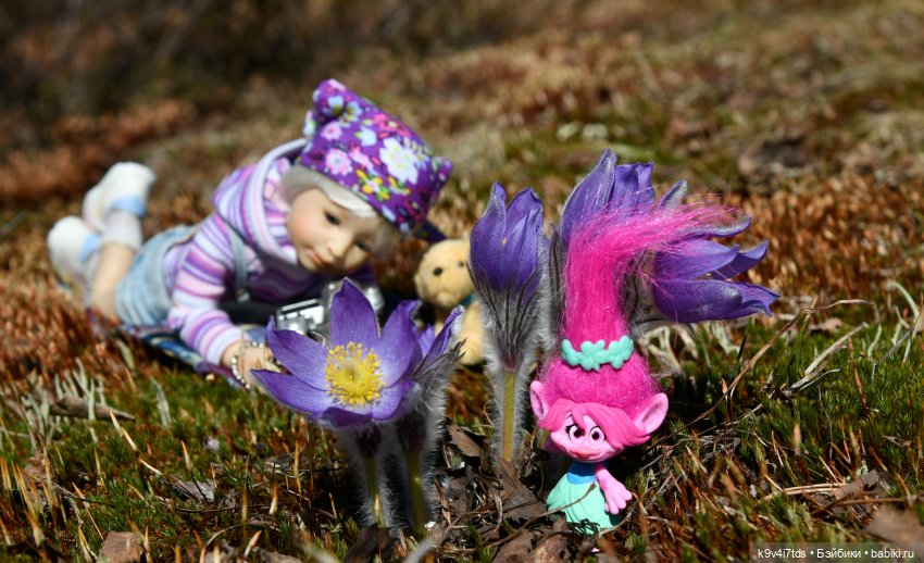 "Плюшечная" Весна, заключительная часть (фото 3)