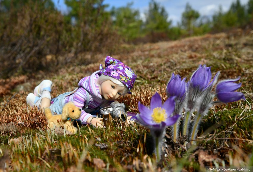 "Плюшечная" Весна, заключительная часть (фото 5)