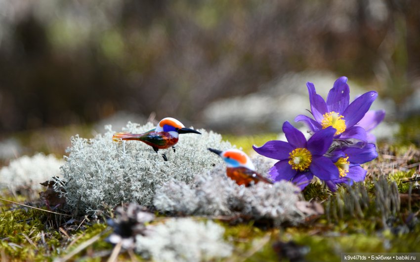 "Плюшечная" Весна, заключительная часть (фото 8)