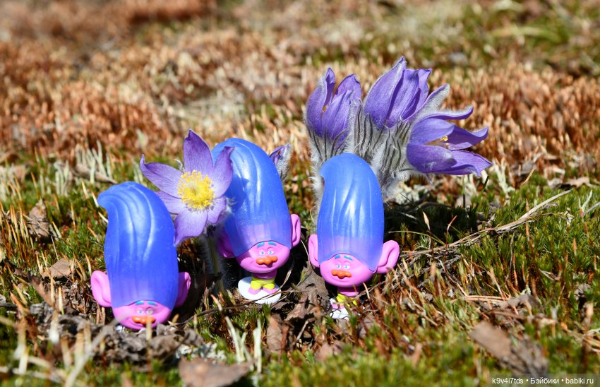 "Плюшечная" Весна, заключительная часть (фото 4)