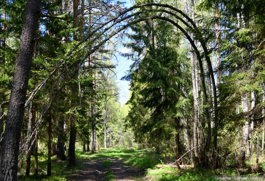 Маленький Принц и Роза — Куклы Lorella Falconi (Лорелла Фалькони): винил (фото 4)