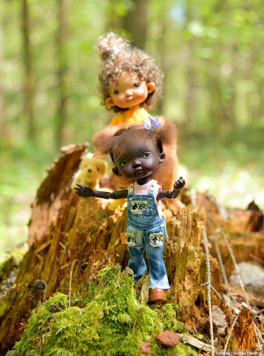 Путешествие в Старицу — Куклы Irrealdoll (Ирреалдолл): BJD (БЖД)