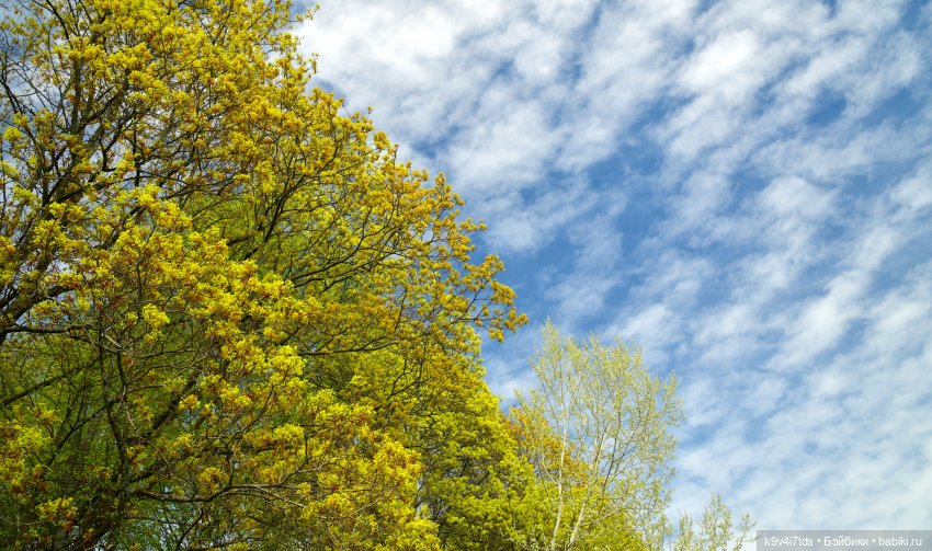 Путешествие в Старицу — Куклы Irrealdoll (Ирреалдолл): BJD (БЖД) (фото 10)