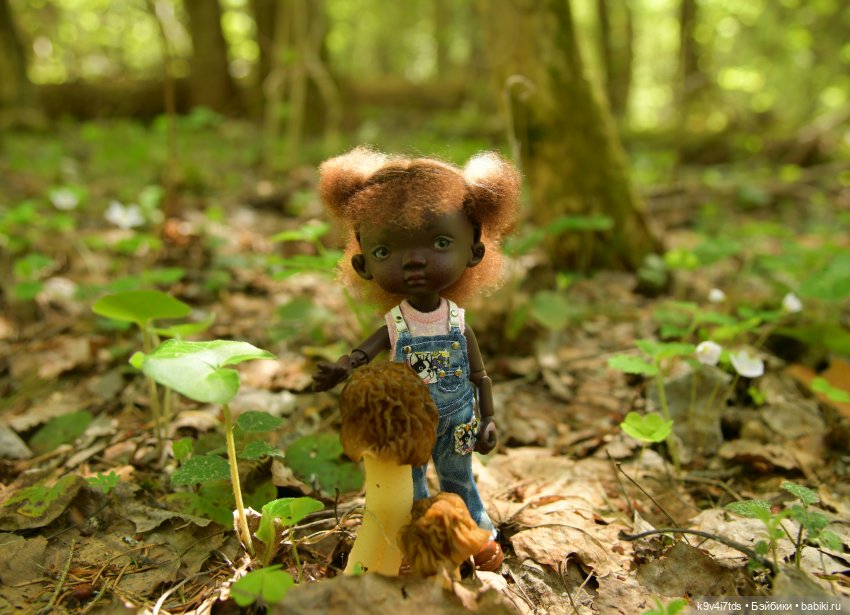 Путешествие в Старицу — Куклы Irrealdoll (Ирреалдолл): BJD (БЖД)