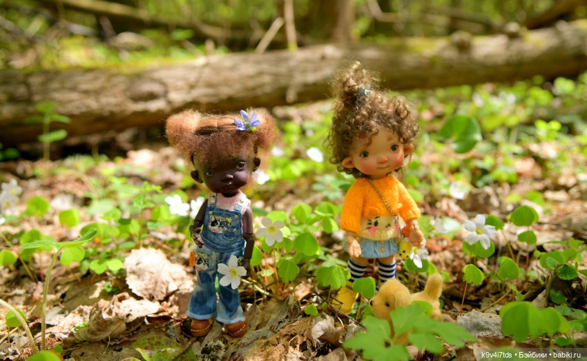 Путешествие в Старицу — Куклы Irrealdoll (Ирреалдолл): BJD (БЖД)
