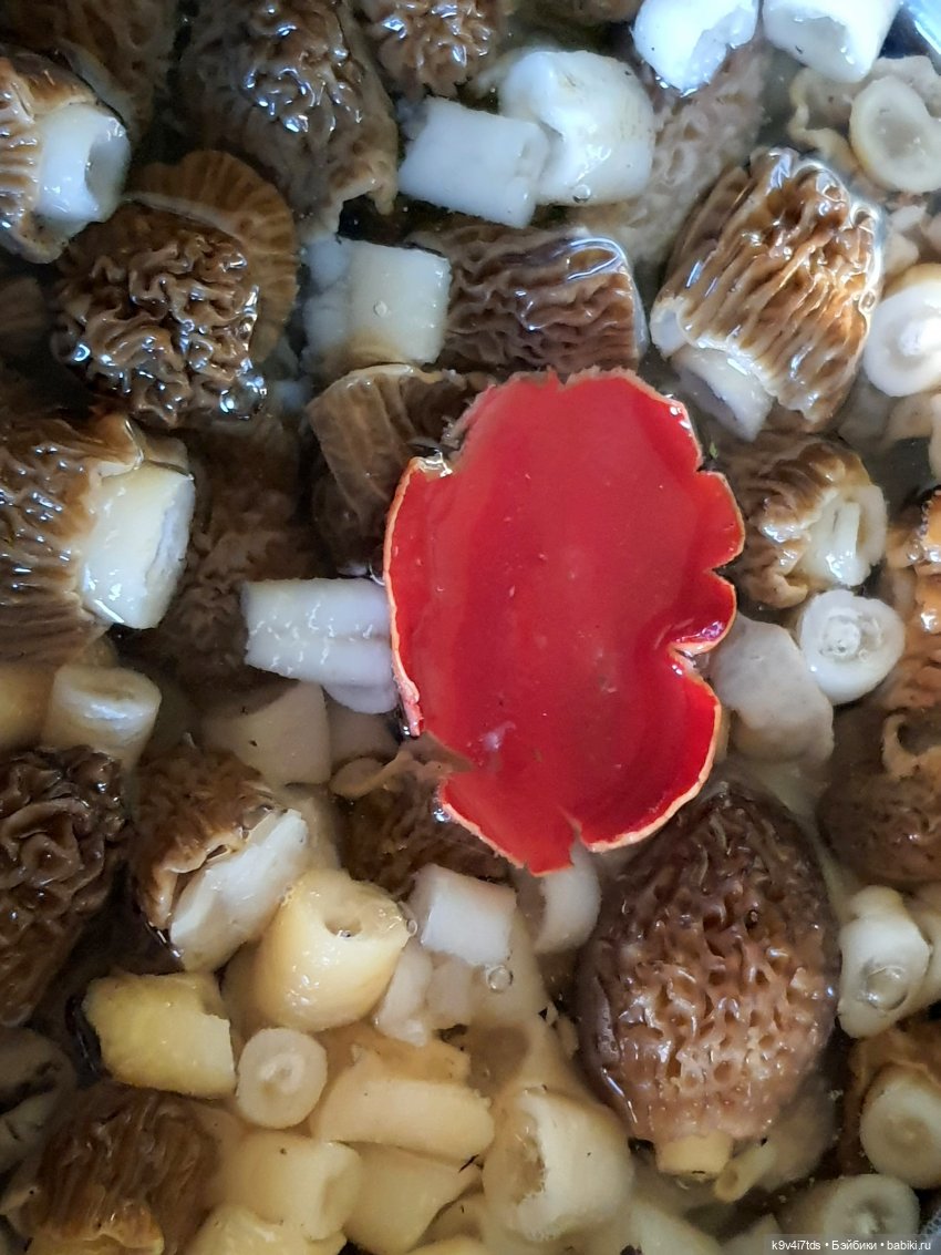 Путешествие в Старицу — Куклы Irrealdoll (Ирреалдолл): BJD (БЖД)