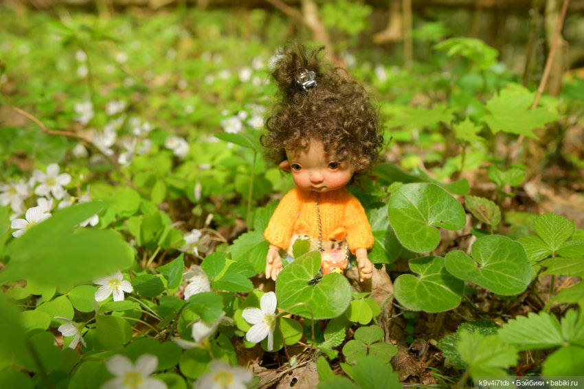 Путешествие в Старицу — Куклы Irrealdoll (Ирреалдолл): BJD (БЖД)