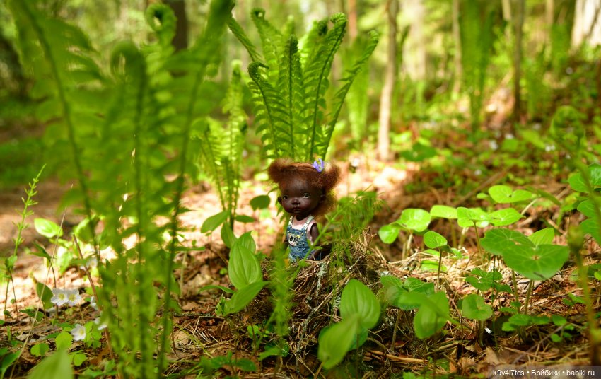 Путешествие в Старицу — Куклы Irrealdoll (Ирреалдолл): BJD (БЖД)