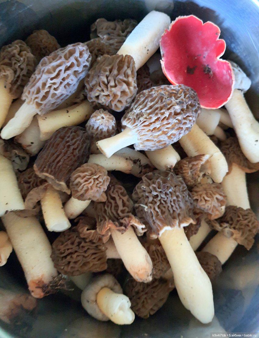 Путешествие в Старицу — Куклы Irrealdoll (Ирреалдолл): BJD (БЖД)