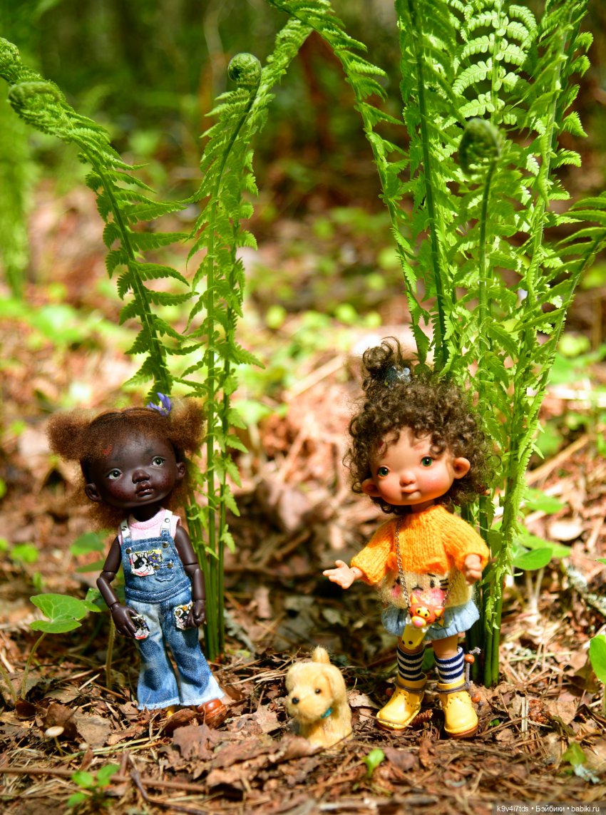 Путешествие в Старицу — Куклы Irrealdoll (Ирреалдолл): BJD (БЖД)