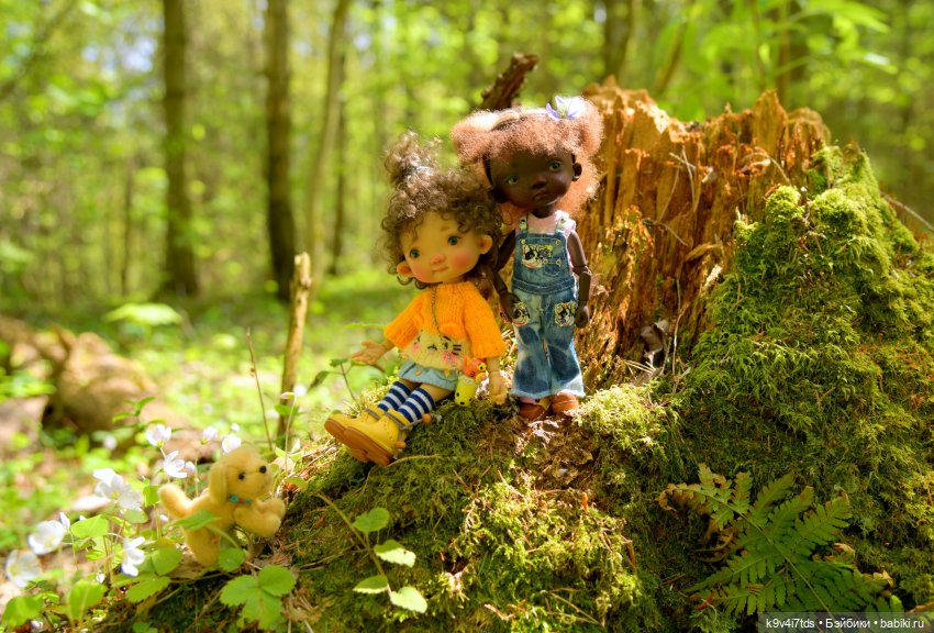 Путешествие в Старицу — Куклы Irrealdoll (Ирреалдолл): BJD (БЖД)