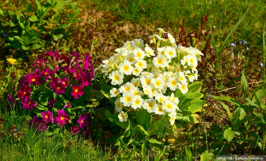 Путешествие в Старицу, заключительная часть