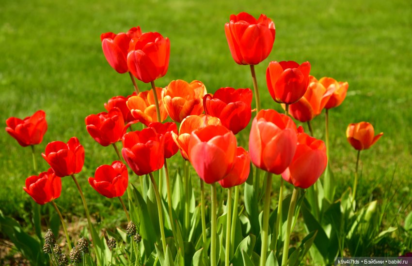 Путешествие в Старицу, заключительная часть