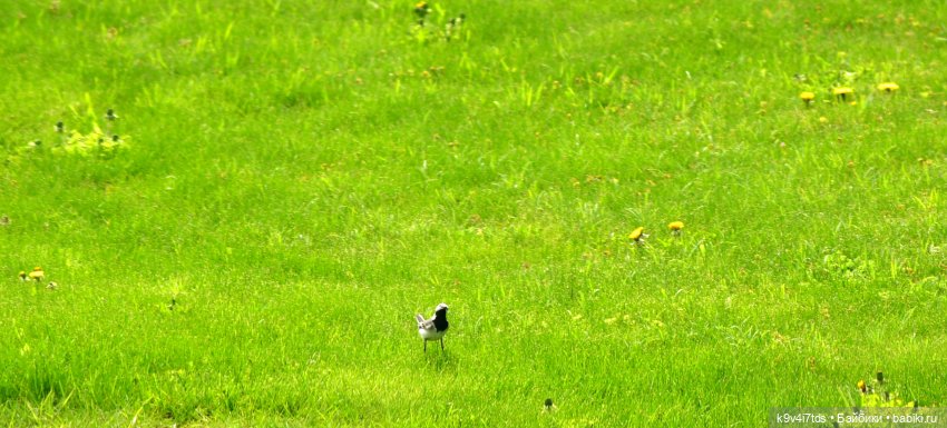 Путешествие в Старицу, заключительная часть (фото 4)
