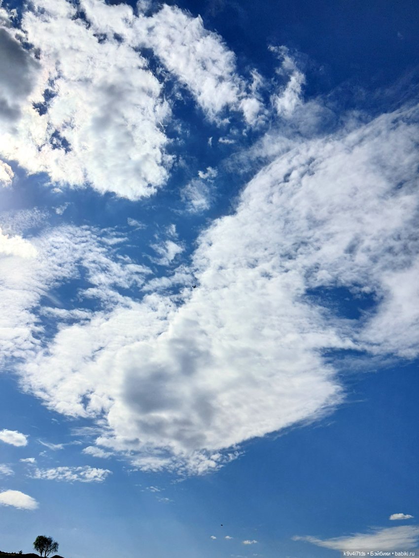 Путешествие в Старицу, заключительная часть