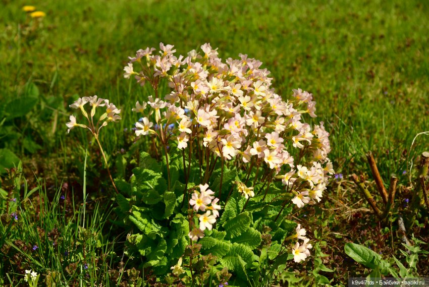 Путешествие в Старицу, заключительная часть