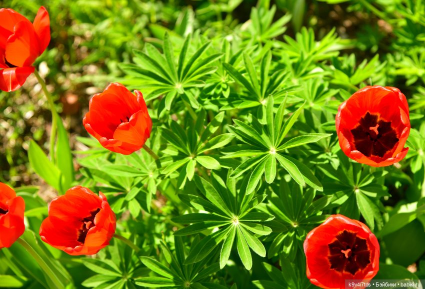 Путешествие в Старицу, заключительная часть