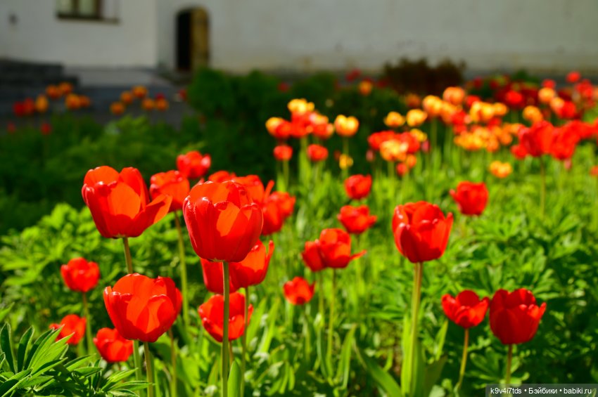 Путешествие в Старицу, заключительная часть