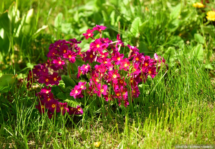 Путешествие в Старицу, заключительная часть