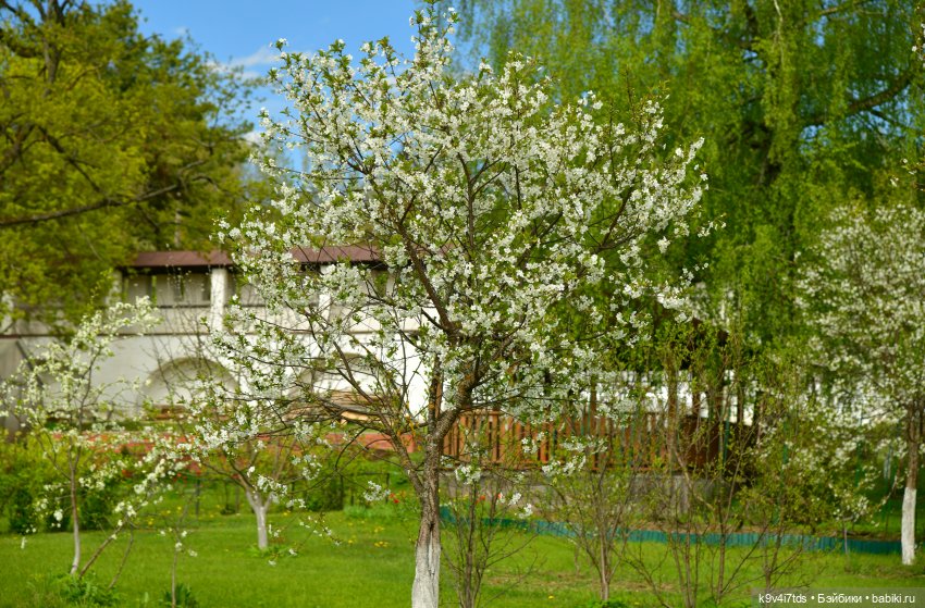 Путешествие в Старицу, заключительная часть (фото 6)