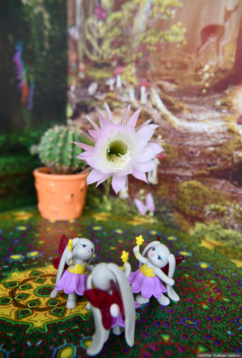 Цветущий Май — Куклы Irrealdoll (Ирреалдолл): BJD (БЖД)