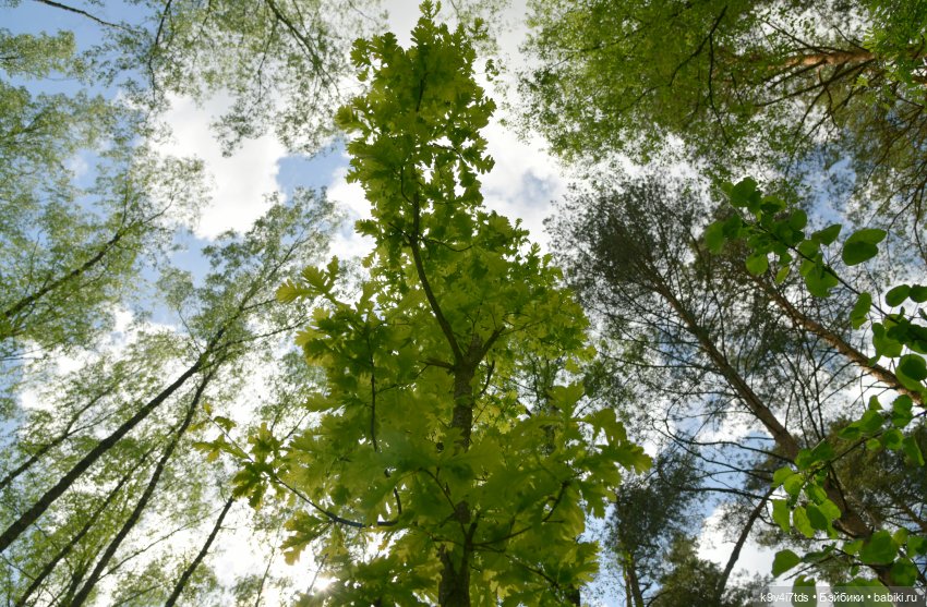 Ландышевый Июнь — Куклы Irrealdoll (Ирреалдолл): BJD (БЖД)