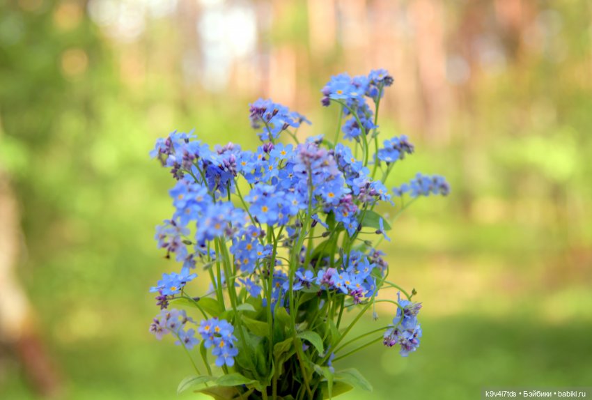 Ландышевый Июнь — Куклы Irrealdoll (Ирреалдолл): BJD (БЖД)