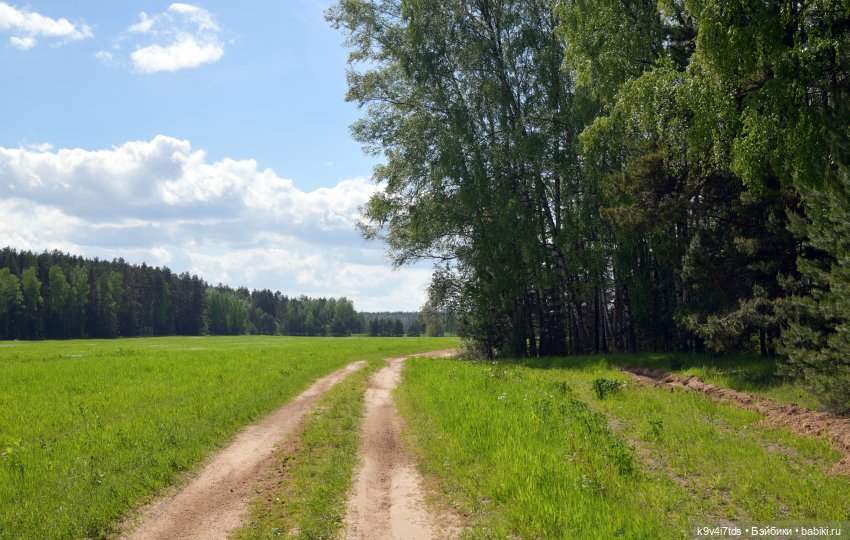 Ландышевый Июнь — Куклы Irrealdoll (Ирреалдолл): BJD (БЖД)