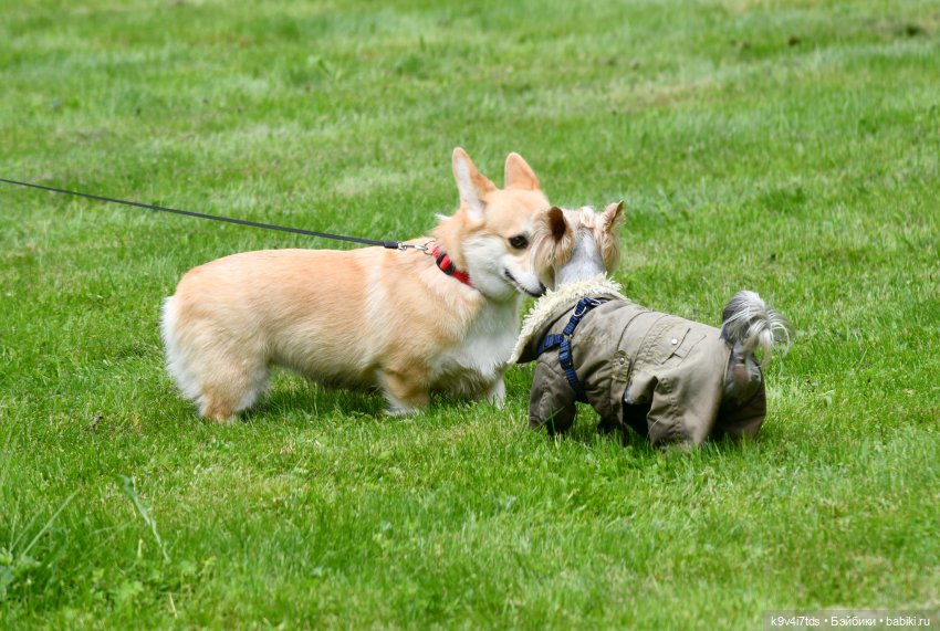 Пушкинский Праздник в Берново 2022 год