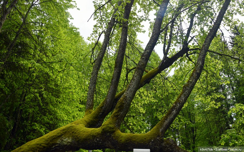 Пушкинский Праздник в Берново 2022 год, продолжение