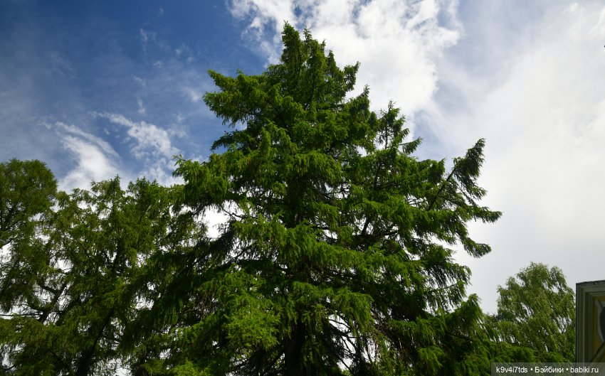 Пушкинский Праздник в Берново 2022 год, продолжение