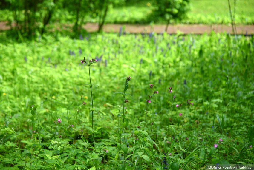 Пушкинский Праздник в Берново 2022 год, продолжение