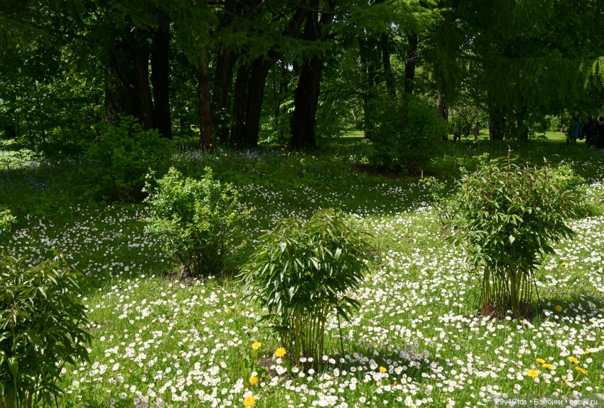 Пушкинский Праздник в Берново 2022 год, продолжение