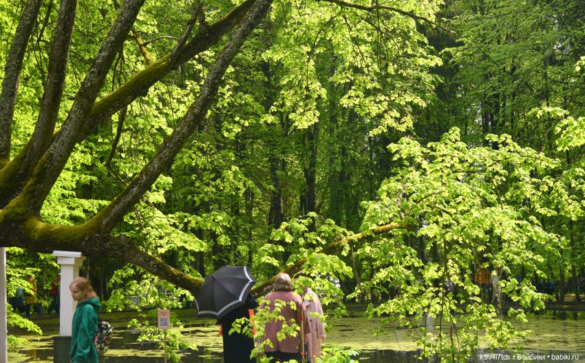 Пушкинский Праздник в Берново 2022 год, продолжение