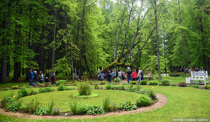 Пушкинский Праздник в Берново 2022 год, продолжение