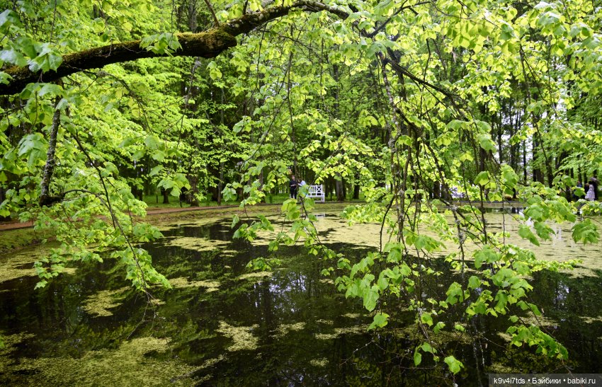 Пушкинский Праздник в Берново 2022 год, продолжение